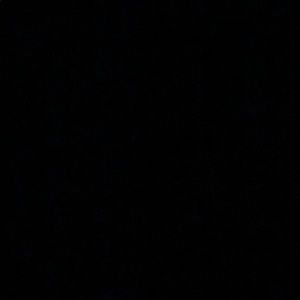 Meet your Posher, Jayla